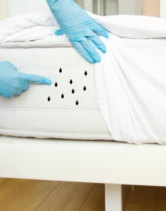 Patalynės erkutės ikandimai ar alergija? Kaip atpažinti skirtumus