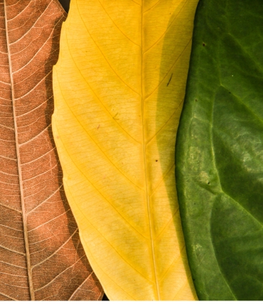 Kokios patalynės spalvos madingos kiekvieną sezoną