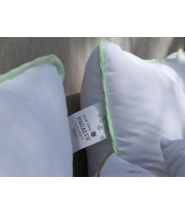 Kokią pagalvę rinktis miegui?