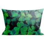 Pagalvių užvalkalai „Clover“. Pagalvių užvalkalai 50x70