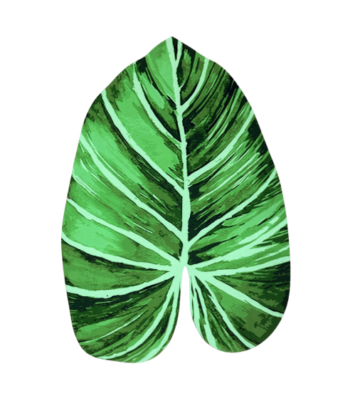 Vonios kilimėlis „Leaf mat“. Vonios kilimėliai